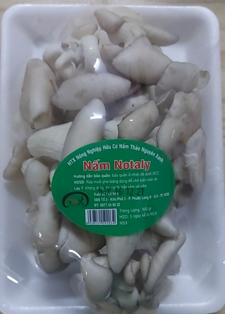 Nấm notaly